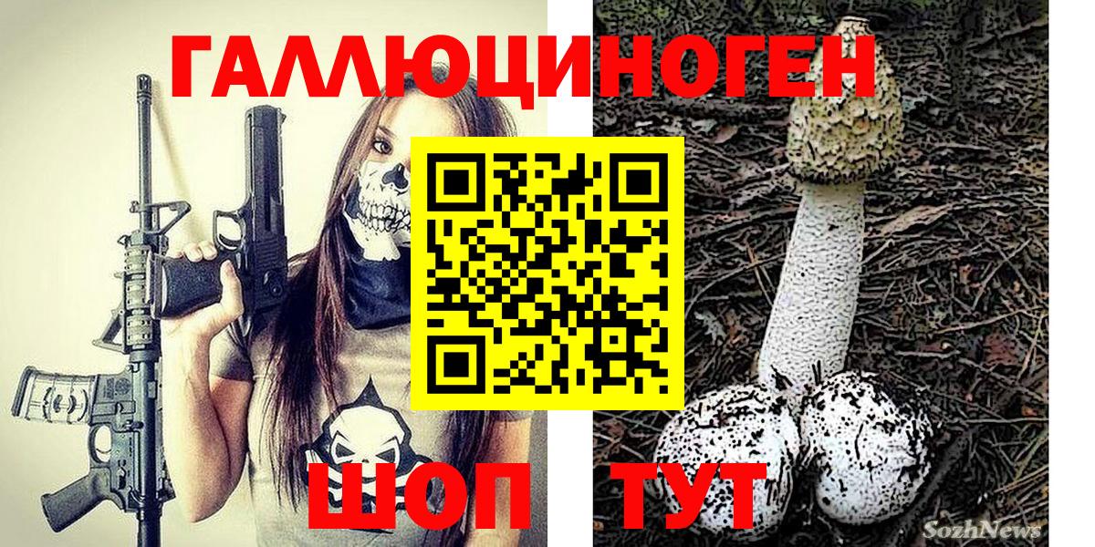 Галлюциногенные грибы Cubensis  Вход с VPN  Владимир 
